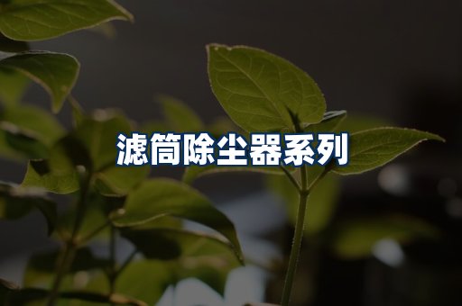 滤筒除尘器展示